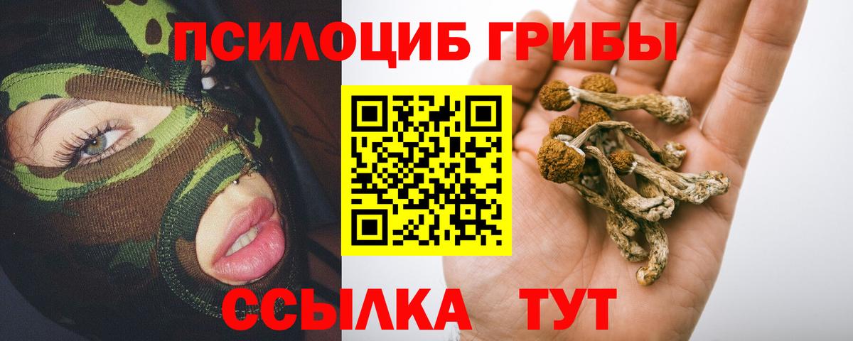 Вышний Волочёк  Галлюциногенные грибы Psilocybine cubensis  Вход с VPN 